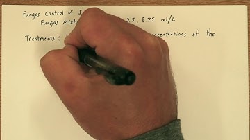 2019 AP Statistics #2 - FRQ Solution - Released Free Response Question - Experimental Design