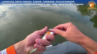 🔥🎣 Окунь сходит с ума от блесны AQUA Esti Comet-2 в цвете золото. @AquafishingNet2015