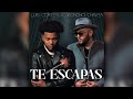 Luis Cortés x Moncho Chavea - Te Escapas (Videoclip Oficial)