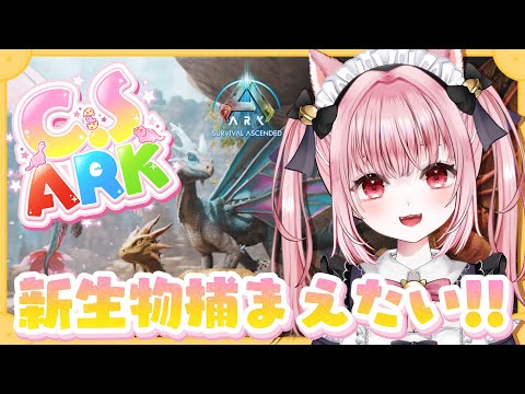 〚 Vtuber 〛 #ARK ┊︎ ASA公式PvE #3🦖 #CSARK ついにスキャナー使えるようになったので、新生物に会いにいく～！🌟ラグナロク〚 #みやにゃま / 三宅タマコ 〛