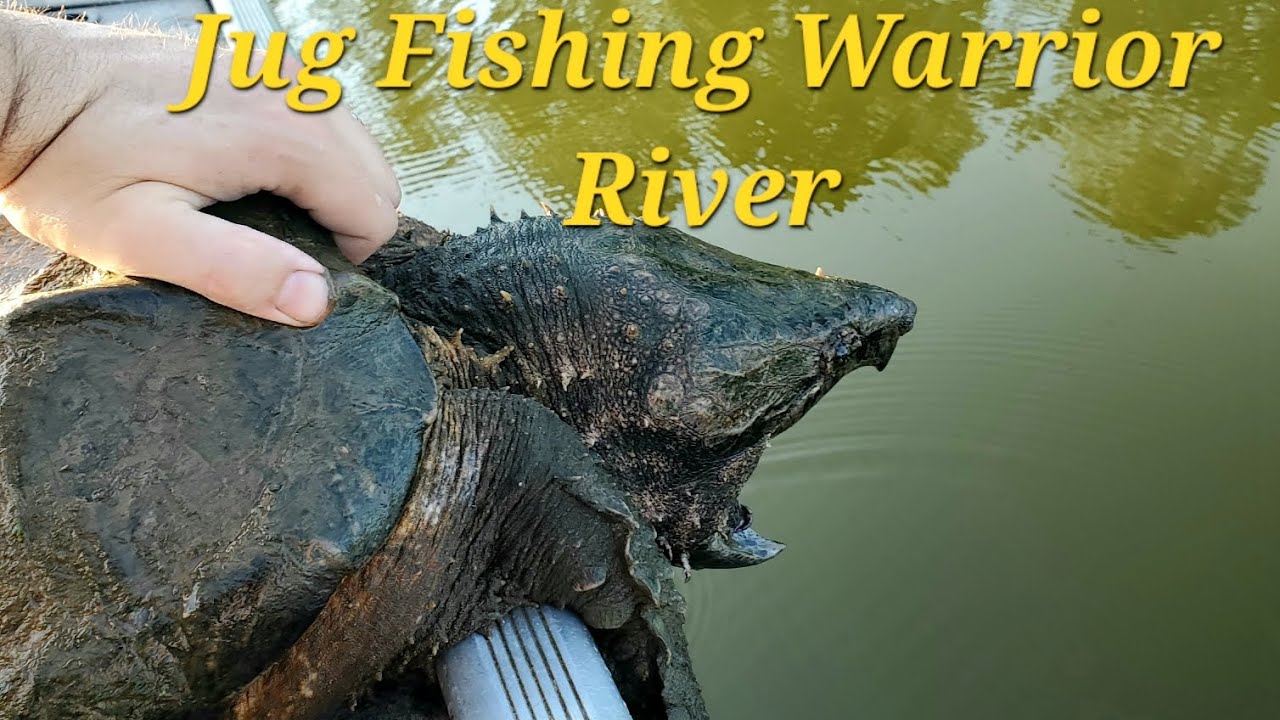 Jug Fishing for Catfish. Unexpected Catch!!! - YouTube