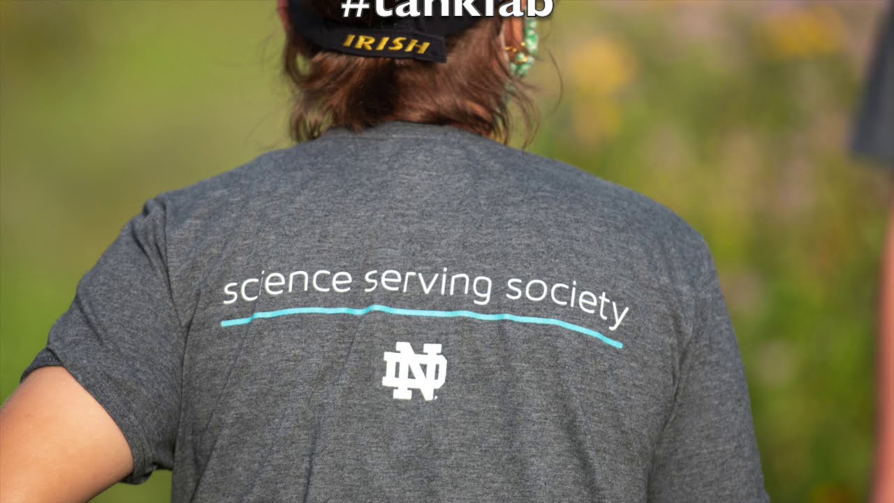 Here Come the Nitrifiers