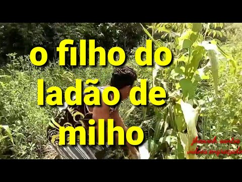 Vídeo: Na Tanzânia, Um Ladrão Que Roubou Um Saco De Milho Foi Amaldiçoado E Não Conseguiu Remover O Saco De Seus Ombros - Visão Alternativa