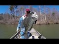 Crappie Fishing During A Cold Front - Lake Guntersville