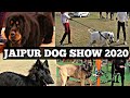 Jaipur Dog Show 2020 | Breeders With Contacts | Kci Dog Show | Dog Market | Scoobers