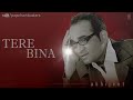 Kabhi Yaadon Mein Aaun Full (Audio) Song Tere Bina Album Abhijeet Bhattacharya Hits Mp3 Song