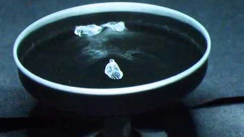 Frequency: A Course in Perspective