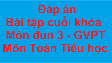 Đáp Án Bài Tập Cuối Khóa – Mô Đun 3 – GVPT – Môn Toán Tiểu Học