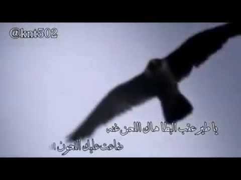 سداح العتيبي ياطير هاك اللحن عقب البطا غنه شيله