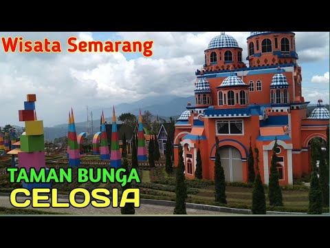 Celosia, Taman Bunga Tercantik di Semarang