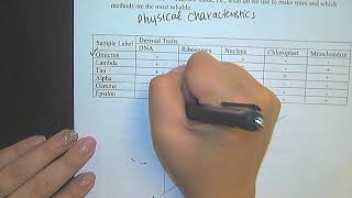 Cladograms part 1