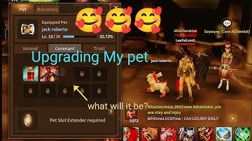Pet upgrade Cabal mobile