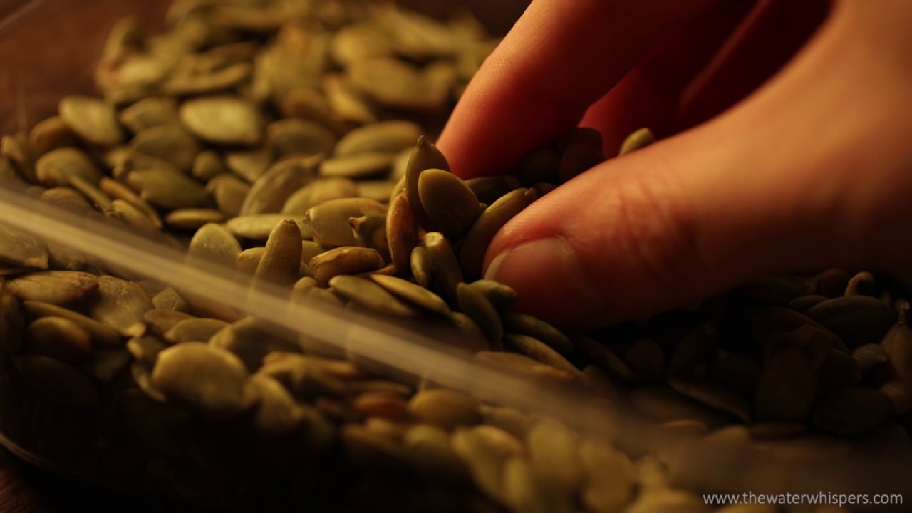 Pumpkin Seeds For Sleep - Therapy - ASMR Tingles - Relaxation - Binaural Sounds