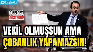 Çobana bile mülakat yapmışlar! CHP'li vekil AKP'yi topa tuttu!