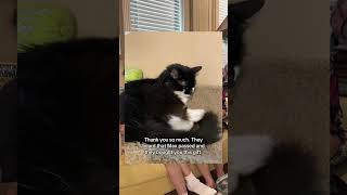 Thank you, Will & Ashley for remembering our cat, Max Thank you, Will & Ashley for remembering our cat, Max
