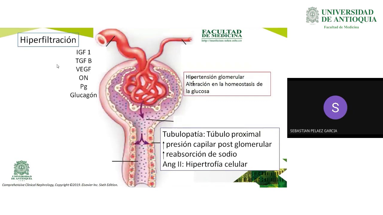 teljes kiőrlésű cukormentes sütemények cukor cukorbetegség 1 típusú kezelés röviden