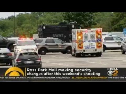 Ross Park Mall Installing Security Cameras, Heightening Security