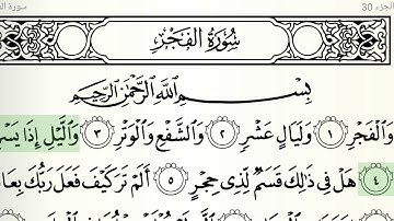 سورة الفجر الشيخ هاني الرفاعي