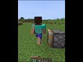 Minecraft Kevin moment☠️