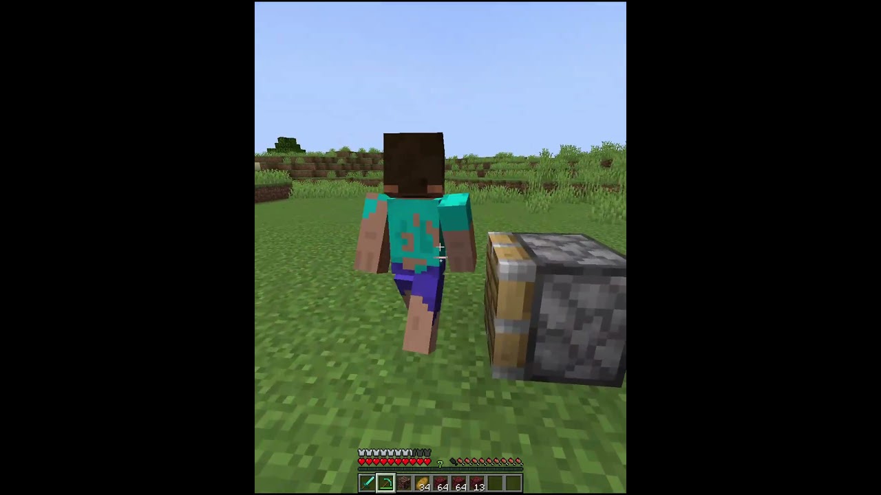 Minecraft Kevin moment☠️