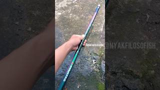 X-Pirates Salazar 540