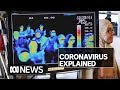 What is coronavirus and should I be worried? Here’s what we know | ABC News