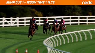 Mornington Jump Outs 13 Sep 2023   Jump Out 1