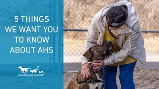 5 things we want you to know about AHS