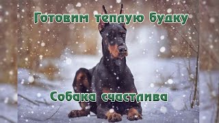 Теплая будка добермана Теплая будка добермана