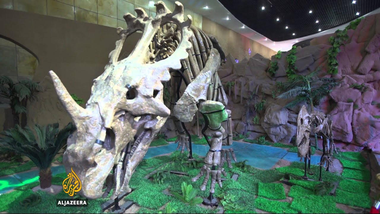 Possible discovery of new dinosaur species in China