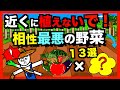 【相性悪い組合せ野菜】近くに植えてはいけない野菜《13選》!コンパニオンプランツがもたらす悪害!【アニメでわかる家庭菜園解説】