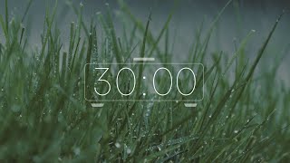 30 minutes ⏰Countdown Music 🎵Timer calming thunder rain piano Net Worth