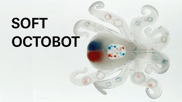 Octopod: The first completely soft, autonomous robot