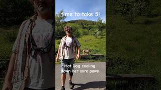 Simple Minds-Promised You A Miracle #village #villagelife #valley #life #home #lifestyle #dogshorts