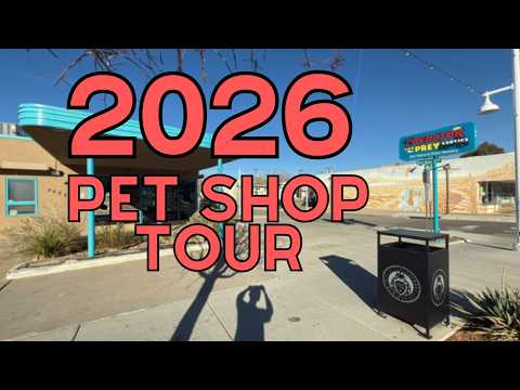 Taking You Through the Best Pet Store in Albuquerque