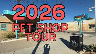 Taking You Through the Best Pet Store in Albuquerque