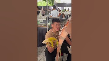 Lễ hội cá cảnh và thú cưng 2024