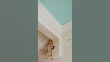 السر في سماع صوت طقطقة السقف ليلا اسباب اصوات السقف و الجدران 
