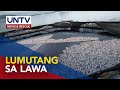 Fish kill, naitala sa ilang bahagi ng Taal Lake sa Agoncillo, Batangas