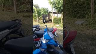 Download Lagu perkutut liaran #shortvideo #kututlokal #kututut #kututmanggung #fyp MP3