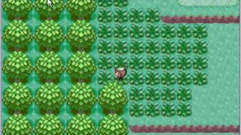 Pokemon Emerald VBA Gameshark codes