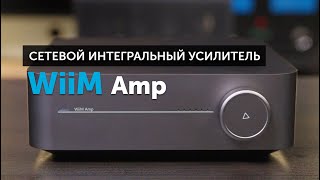 WiiM Amp - усилитель, который может всё | Замена Sonos и не только