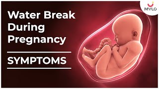 Symptoms Of Water Break In Pregnancy | Water Break During Pregnancy In Hindi | Mylo Family