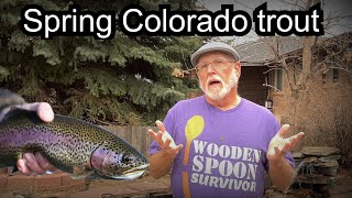 Spring Colorado trout fishing