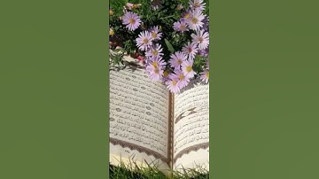 سورة قريش بصوت جميل جداً🌙 #قرآن #المغرب #المصحف #اكسبلور #اذكار_الصباح