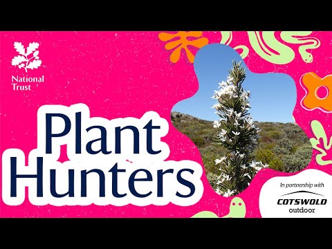 Plant Hunters | A Botanical Quest Down Under | Podcast