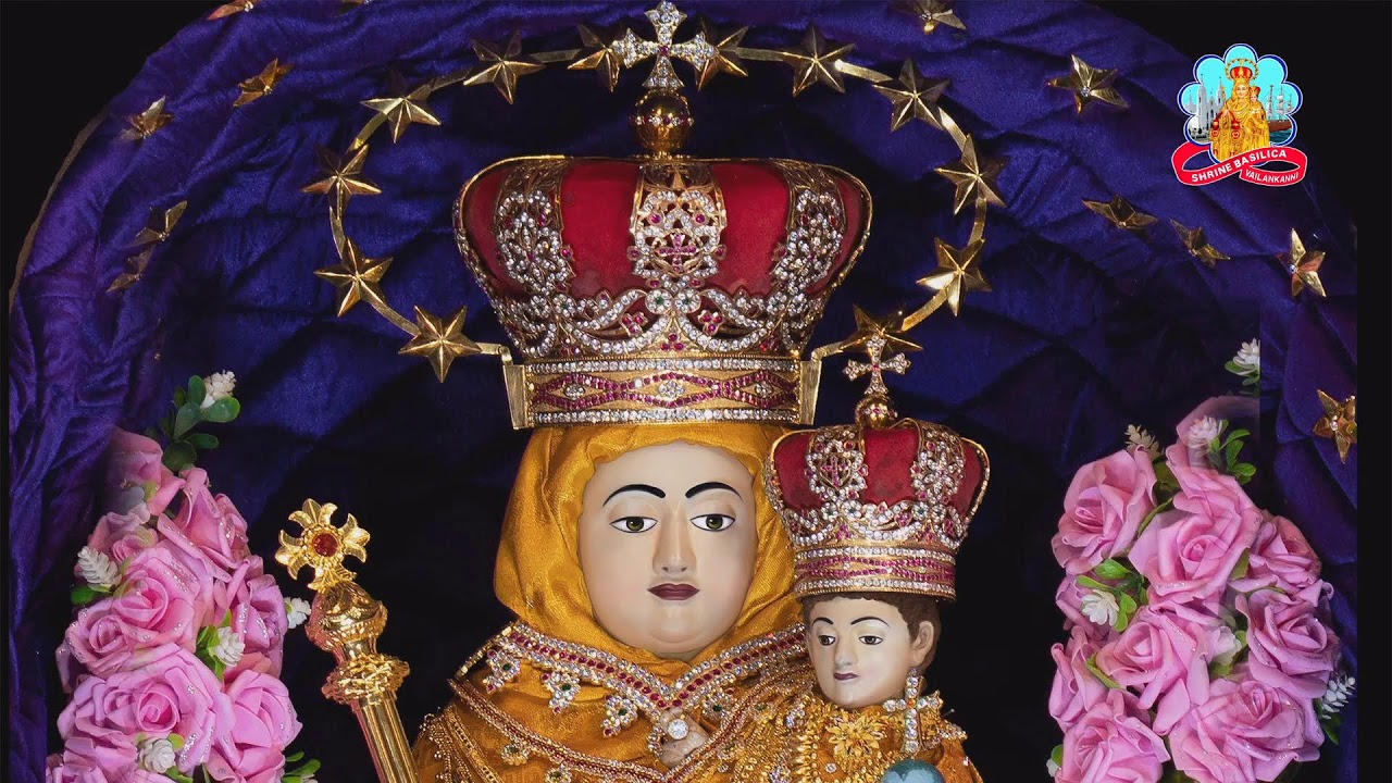 🔴 Live 11 February 2026 @ Vailankanni Shrine Basilica