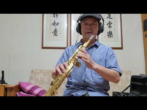 情人再見 月夜愁 高音薩克斯風Bb調