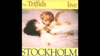 The Triffids : Raining pleasure (live 1989)