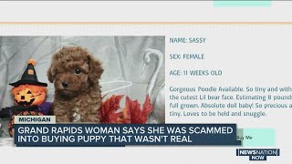 Michigan woman says she was scammed into buying puppy that wasn't real
